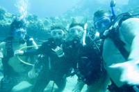 Introduction Dive No Experience or Certification Needed