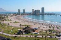 Iquique City Tour