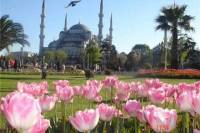 Istanbul Highlights Walking Tour