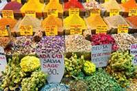 Istanbul Street Food Tour and Picnic