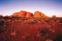 Japanese Uluru Pass with optional BBQ Dinner