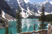Jasper City Sightseeing Tour