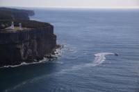 Jervis Bay Wildlife Cruise