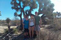 Joshua Tree National Park Van Tour