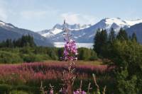 Juneau Sightseeing and Mendenhall Glacier Tour with Seafood Lunch or Dinner on Mt Roberts