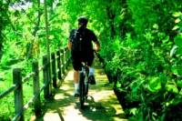 Jungle Cycling Tour from Bangkok