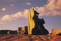 Kangaroo Island 2-Day Camping Safari Adventure Tour from Adelaide