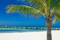 Key West Sail and Snorkel Trip from Miami