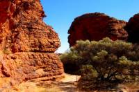 Kings Canyon Day Trip from Ayers Rock