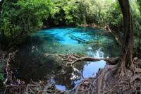 Krabi Jungle Tour Including Elephant Ride