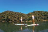 Ku-ring-gai Chase National Park Stand Up Paddleboard Tour