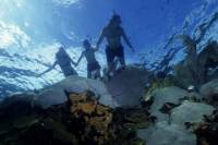 La Jolla Kayak and Snorkel Tour