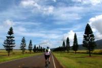 Lanai Full Day Bike Tour And Ferry With Lunch