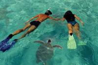 Lanai Island Dolphin and Snorkel Cruise from Maui