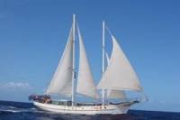 Langkawi Sailing and Island Hopping Adventure