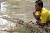 Langkawi Underwater World and Crocodile Farm Tour