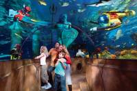 Legoland with SeaLife Aquarium with Transportation from Anaheim