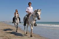 Los Cabos Horseback Riding