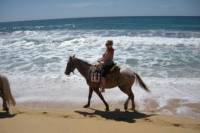 Los Cabos Shore Excursion: Horseback Riding Adventure