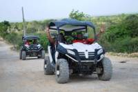Macao Beach Buggy Adventure from Punta Cana