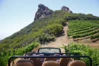 Malibu Wine Safari