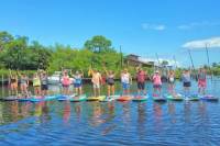 Manatee Pocket SUP Tour