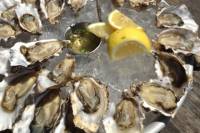 Marin County Oyster Farm Tour and Tasting