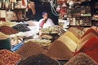 Marrakech Discovery Tour
