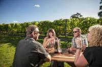 Martinborough Wine-Tasting Tour from Wellington