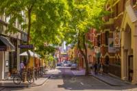 Melbourne Laneway Luncheon Walking Tour