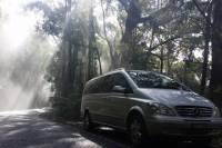 Melbourne Shore Excursion: Small-Group Yarra Valley Day Trip Including Healesville Sanctuary