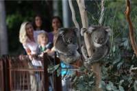 Melbourne Zoo General Entry Ticket