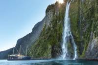 Milford Sound Nature Cruise from Queenstown, Te Anau or Milford Sound