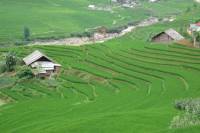 Mong Sen and Ta Phin Full Day Hiking Trip from Sapa
