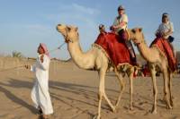 Morning Camel Trekking Safari from Dubai