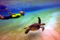 Morning Deluxe Kayak and Snorkel tour 8am