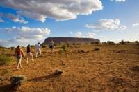 Mount Connor 4WD Small Group Tour from Ayers Rock