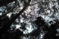 Mountain Biking and Waterfall Tour from Lombok