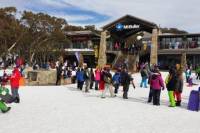 Mt Buller Day Trip from Melbourne