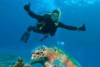 Nassau Shore Excursion: 2-Tank Dive Adventure