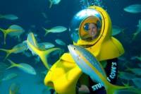 Nassau SUB Bahamas Adventure