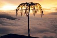 Natural Park Chicaque from Bogotá