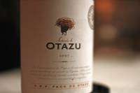 Navarra Wine Tour from Pamplona