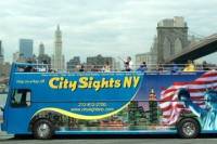 New York City Hop-on Hop-off Tour and Harbor Cruise