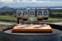 Niagara Falls Wine Tour with Cheese Pairings