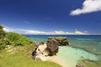 Northern Okinawa Sightseeing Tour from Naha
