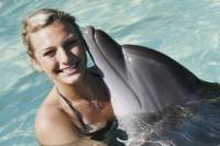 Nuevo Vallarta Dolphin Swim Experience