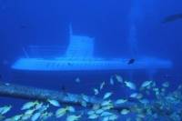 Oahu Atlantis Submarine Adventure