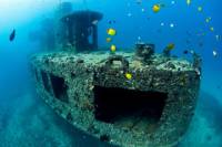 Oahu Shore Excursion: Atlantis Submarine Adventure