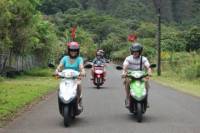Oahu Shore Excursion: Independent Scooter Adventure